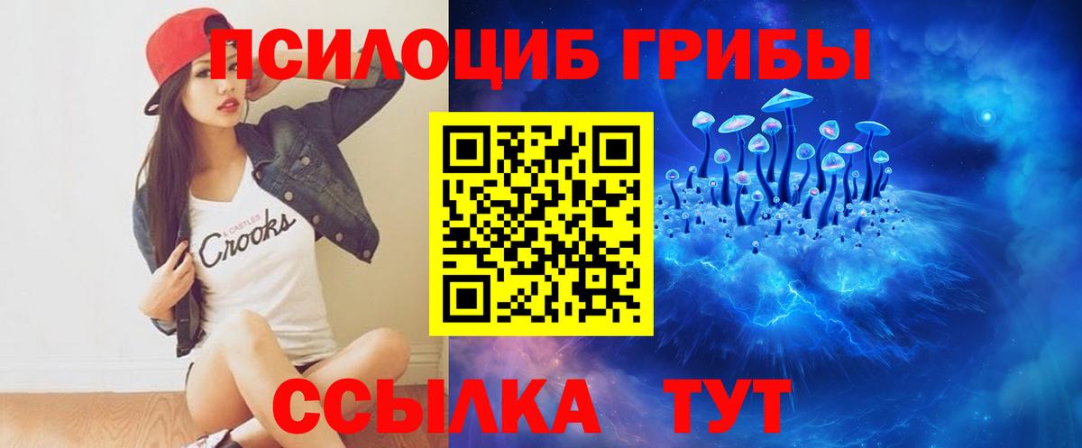 Мыски  Псилоцибиновые грибы мицелий  Вход с VPN 